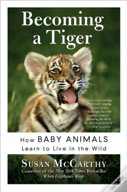 Capa do artigo Becoming A Tiger