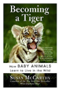 Becoming A Tiger - Preview