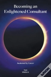 Becoming An Enlightened Consultant
