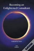 Becoming An Enlightened Consultant