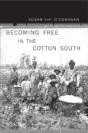 Becoming Free In The Cotton South - Preview