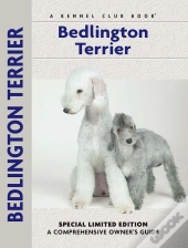 Bedlington Terrier