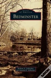 Capa do artigo Bedminster