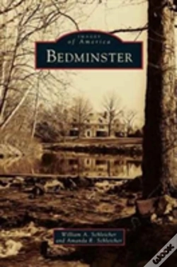 Capa do artigo Bedminster