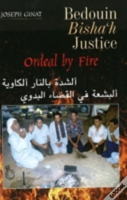 Capa do artigo Bedouin Bishah Justice