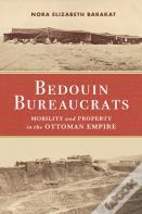 Bedouin Bureaucrats