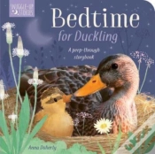 Capa do artigo Bedtime For Duckling