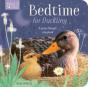 Bedtime For Duckling - Preview