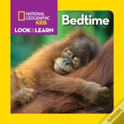 Capa do artigo Bedtime
