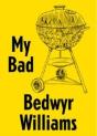 Bedwyr Williams - Preview