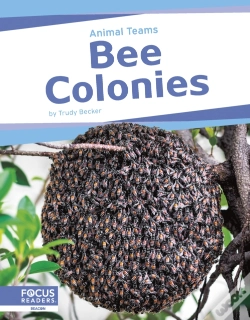 Capa do artigo Bee Colonies