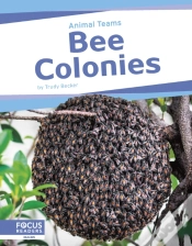 Capa do artigo Bee Colonies