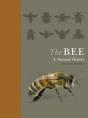 Bee - Preview