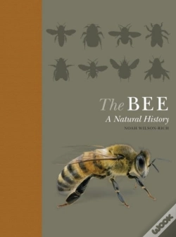 Capa do artigo Bee
