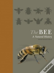 Capa do artigo Bee