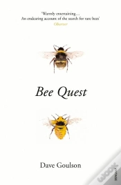 Capa do artigo Bee Quest