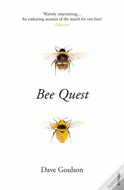 Capa do artigo Bee Quest
