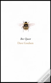 Capa do artigo Bee Quest
