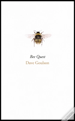 Capa do artigo Bee Quest