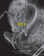Capa do artigo Bee