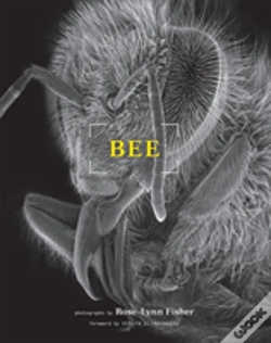 Capa do artigo Bee