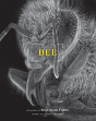 Bee - Preview