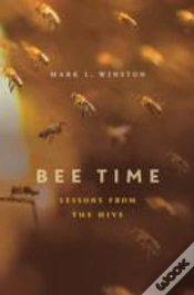 Capa do artigo Bee Time