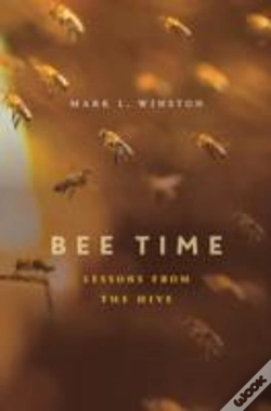 Capa do artigo Bee Time
