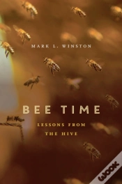 Capa do artigo Bee Time