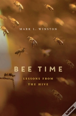 Capa do artigo Bee Time