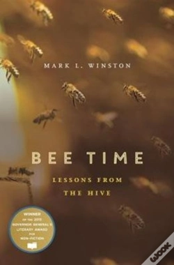 Capa do artigo Bee Time