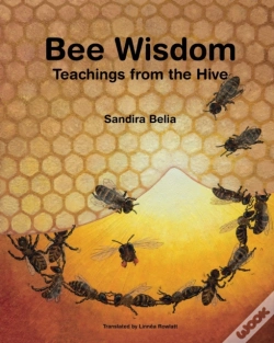 Capa do artigo Bee Wisdom - Teachings From The Hive