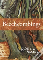 Beechcombings