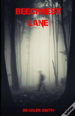 Capa do artigo Beechnest Lane