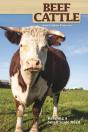 Beef Cattle - Preview