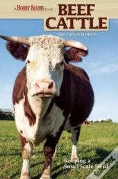 Beef Cattle