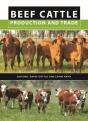 Beef Cattle Production And Trade - Preview