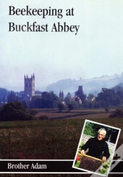 Capa do artigo Beekeeping At Buckfast Abbey