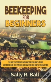 Capa do artigo Beekeeping For Beginners