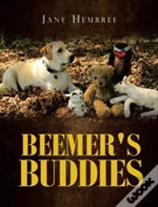 Capa do artigo Beemer