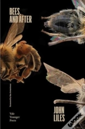 Bees, And After