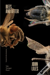 Capa do artigo Bees, And After