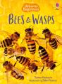 Bees And Wasps - Preview