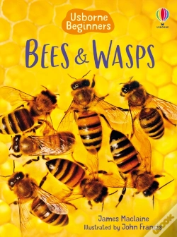 Capa do artigo Bees And Wasps