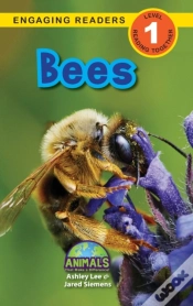 Capa do artigo Bees