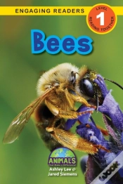 Capa do artigo Bees