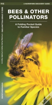 Capa do artigo Bees & Other Pollinators