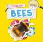 Bees - Preview