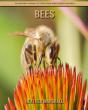 Bees - Preview