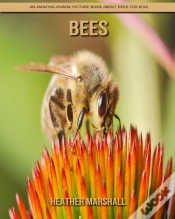 Capa do artigo Bees